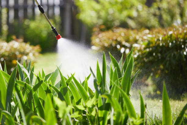 24/7 Emergency Mosquito Control experts in Atoka, TN